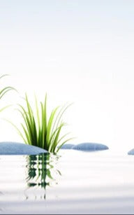 Küchenrückwand - Steine und Gras im See Querformat