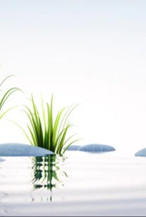 Küchenrückwand - Steine und Gras im See Querformat