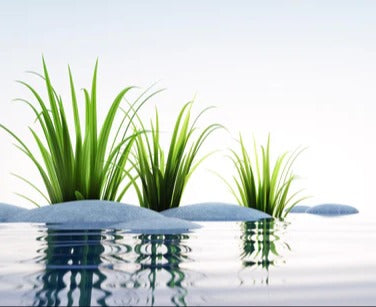 Küchenrückwand - Steine und Gras im See Querformat