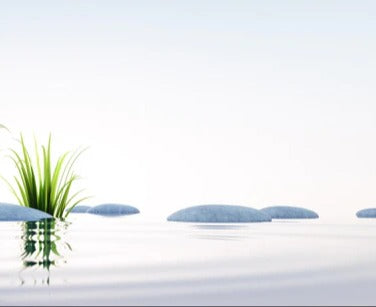 Küchenrückwand - Steine und Gras im See Querformat