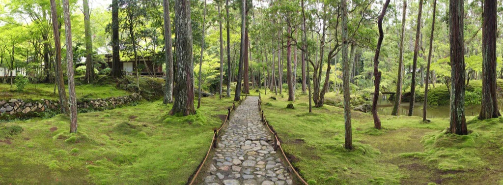 Küchenrückwand - Wunderschöner Moosgarten in Kyoto