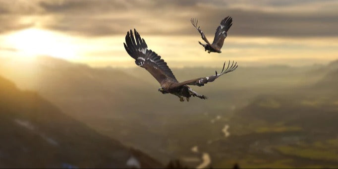 Küchenrückwand - Steinadler an den Alpen