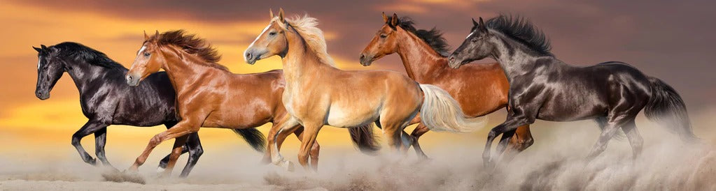 Küchenrückwand - Pferdeherde galoppiert im Wüstenstaub
