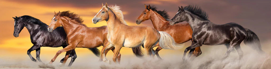 Küchenrückwand - Pferdeherde galoppiert im Wüstenstaub