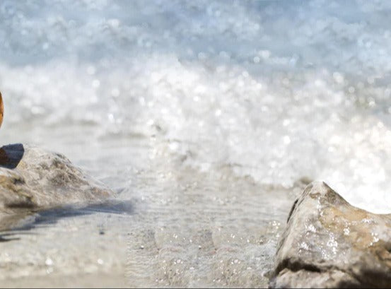 Küchenrückwand - Glaskugel am Strand