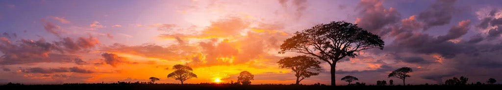 Küchenrückwand - Sonnenuntergang in Afrika