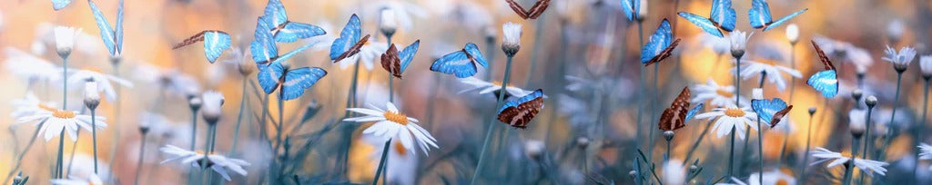 Küchenrückwand - Frühling Naturlandschaft mit wilden Blumen