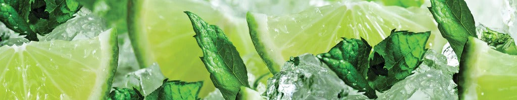 Küchenrückwand - Limette und Minzblätter mit Eis