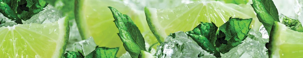 Küchenrückwand - Limette und Minzblätter mit Eis