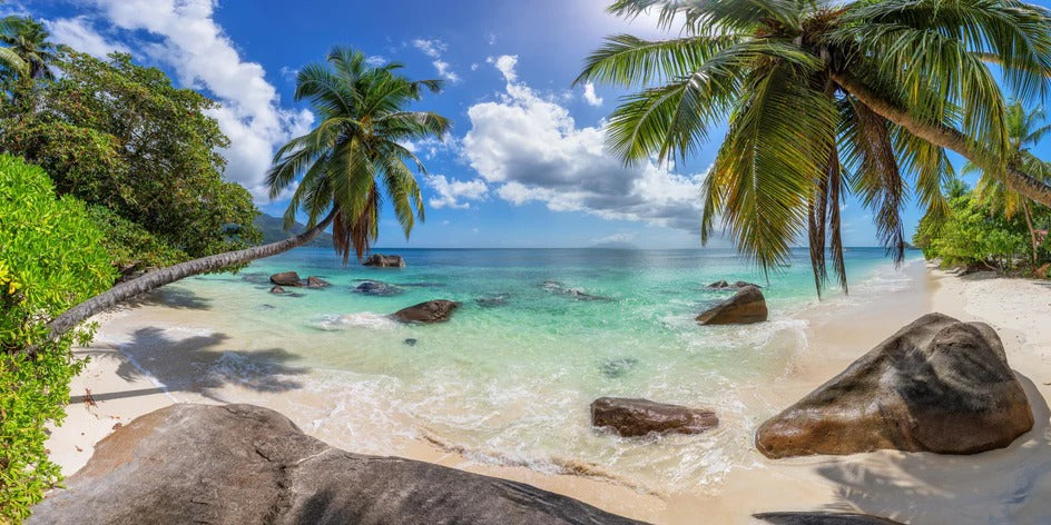 Küchenrückwand - Blick auf den schönen tropischen Strand