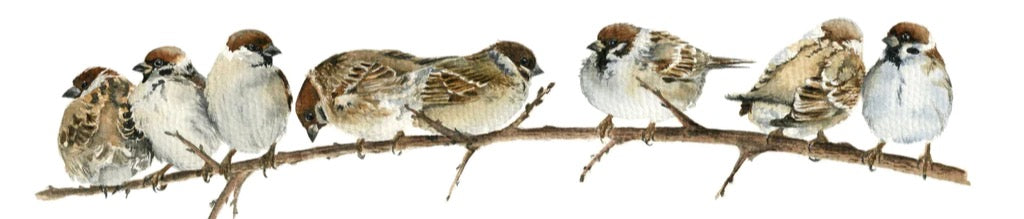 Küchenrückwand - Spatzen auf einem Zweig
