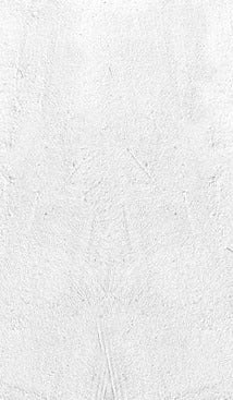 Küchenrückwand - Weiß beige Betonwand