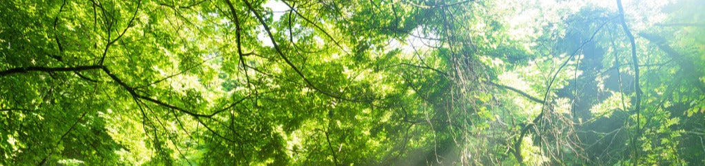 Küchenrückwand - Shangrenzawa