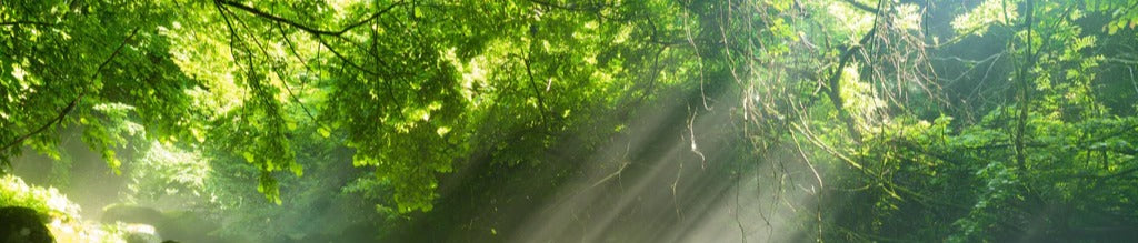 Küchenrückwand - Shangrenzawa