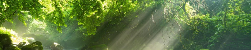 Küchenrückwand - Shangrenzawa