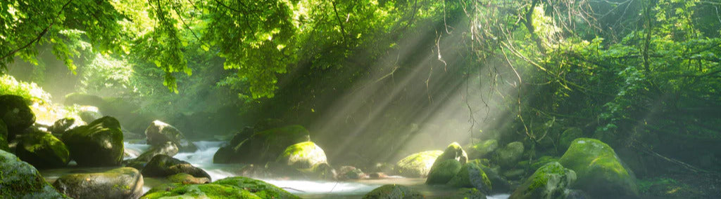 Küchenrückwand - Shangrenzawa