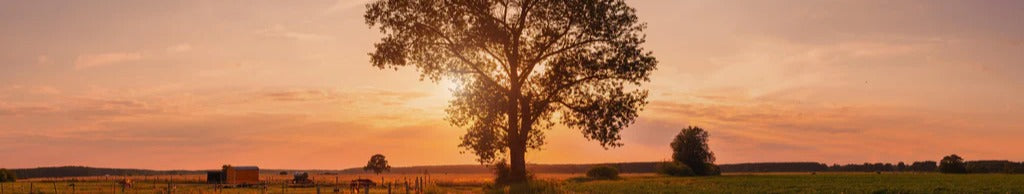 Küchenrückwand - Panorama Landleben Feldweg