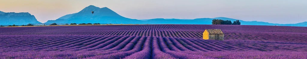 Küchenrückwand - Französische Lavendelfelder