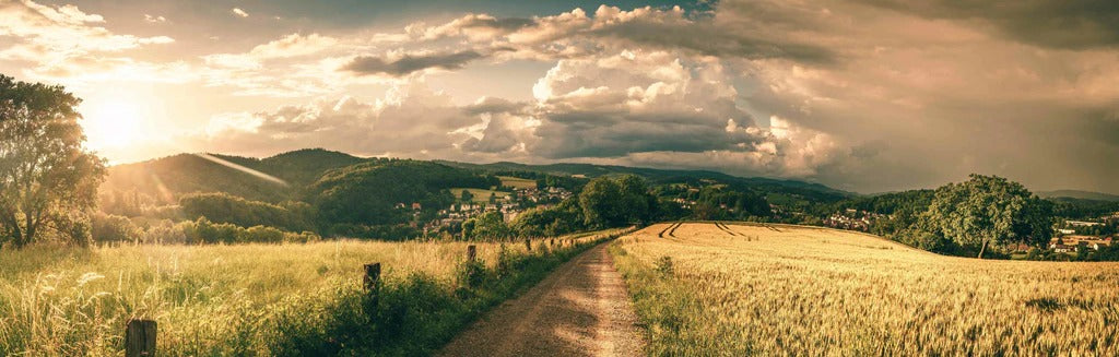Küchenrückwand - Wanderpfad