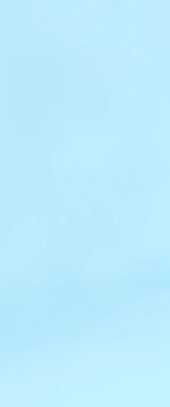 Küchenrückwand - Ungarischer Vizsla-Welpe Portrait