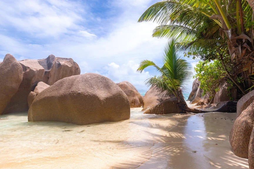 Küchenrückwand - Der Traumstrand - Anse Source d Argent