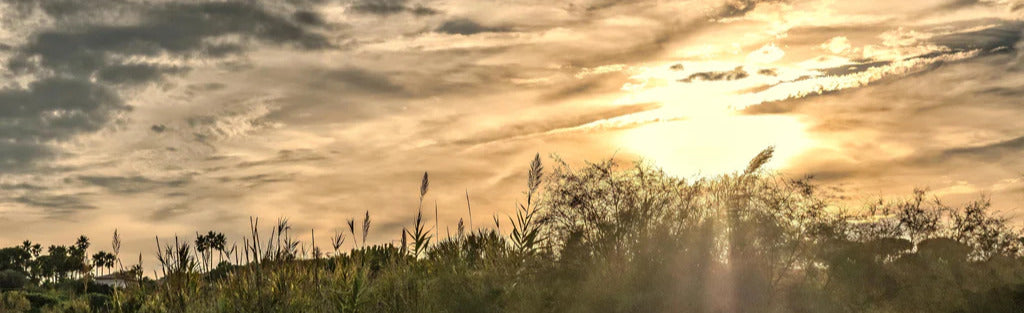 Küchenrückwand - Sonnenuntergang am Pampelonne in Saint Tropez