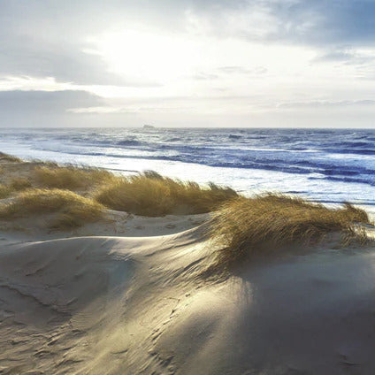 Küchenrückwand - Dänische Nordseeküste