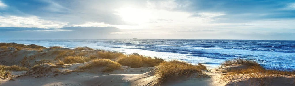 Küchenrückwand - Dänische Nordseeküste