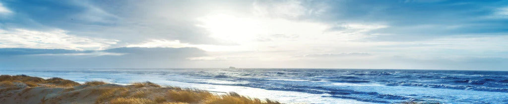 Küchenrückwand - Dänische Nordseeküste