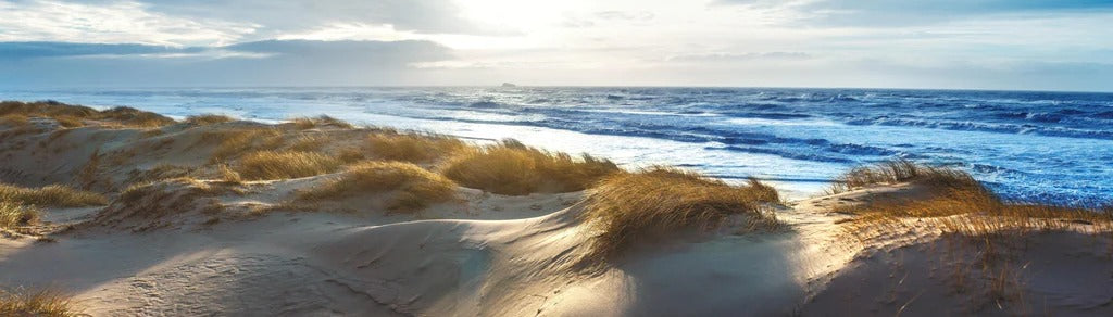 Küchenrückwand - Dänische Nordseeküste