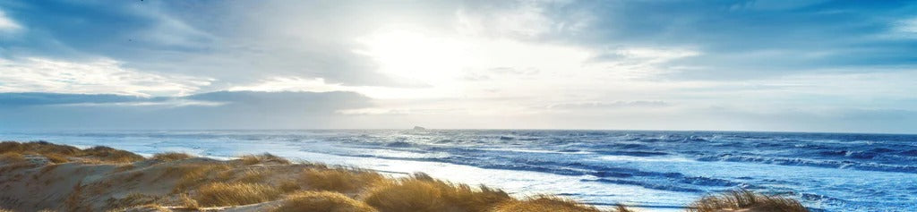 Küchenrückwand - Dänische Nordseeküste