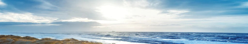 Küchenrückwand - Dänische Nordseeküste