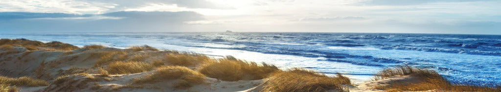 Küchenrückwand - Dänische Nordseeküste