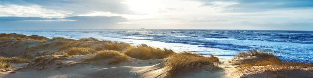 Küchenrückwand - Dänische Nordseeküste