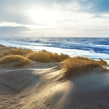 Küchenrückwand - Dänische Nordseeküste