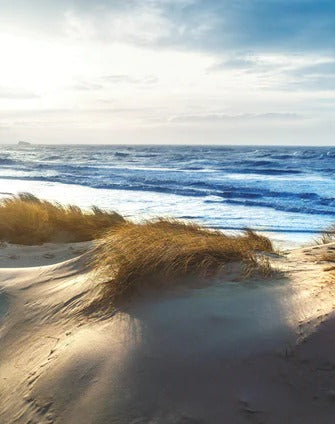 Küchenrückwand - Dänische Nordseeküste