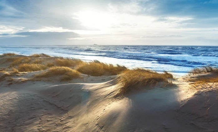 Küchenrückwand - Dänische Nordseeküste