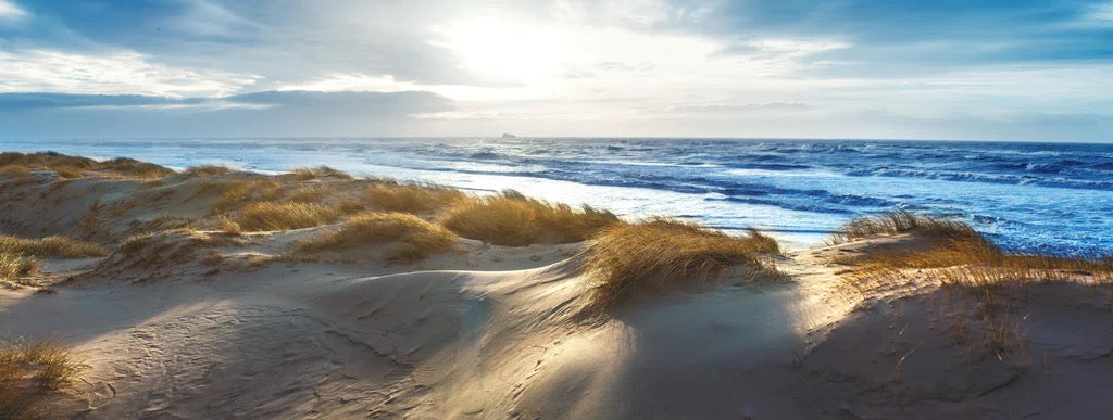 Küchenrückwand - Dänische Nordseeküste
