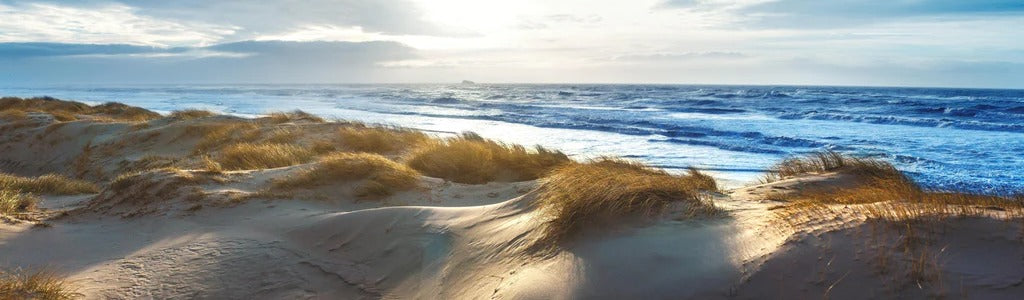 Küchenrückwand - Dänische Nordseeküste