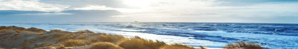 Küchenrückwand - Dänische Nordseeküste