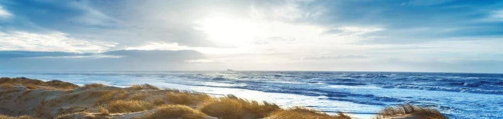 Küchenrückwand - Dänische Nordseeküste