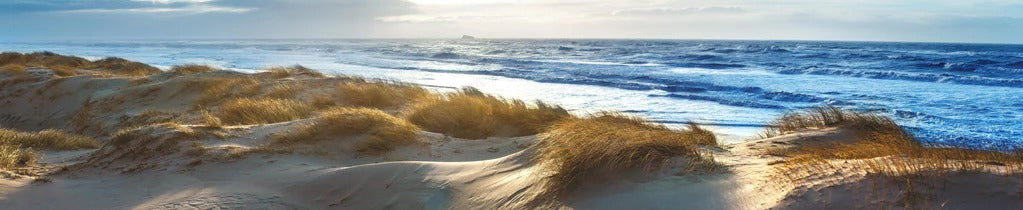 Küchenrückwand - Dänische Nordseeküste