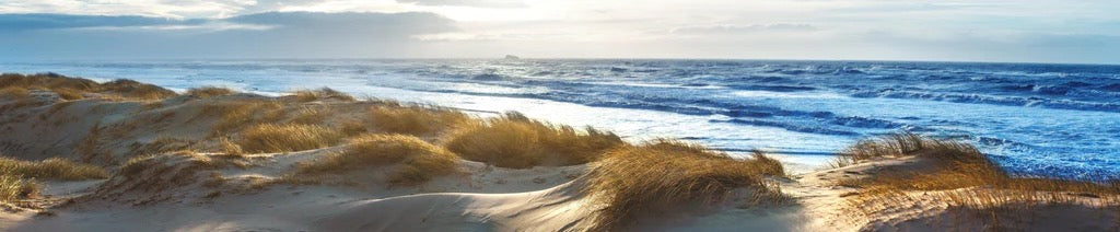 Küchenrückwand - Dänische Nordseeküste