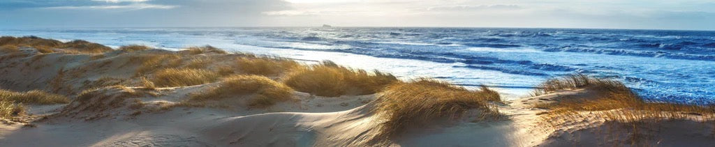 Küchenrückwand - Dänische Nordseeküste