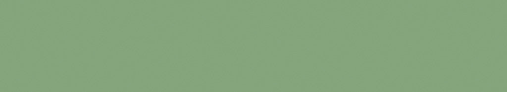 Küchenrückwand - RAL 6021 (Blassgrün)