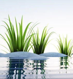 Spritzschutz - Steine und Gras im See Querformat