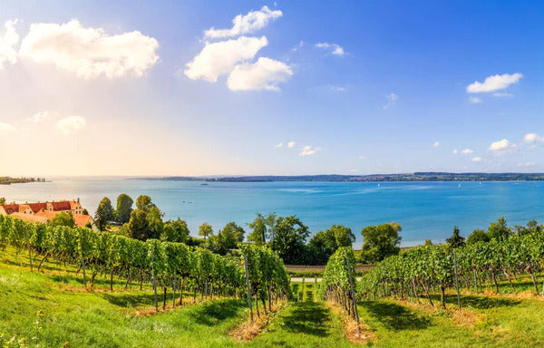 Spritzschutz - Bodensee Panorama in Birnau