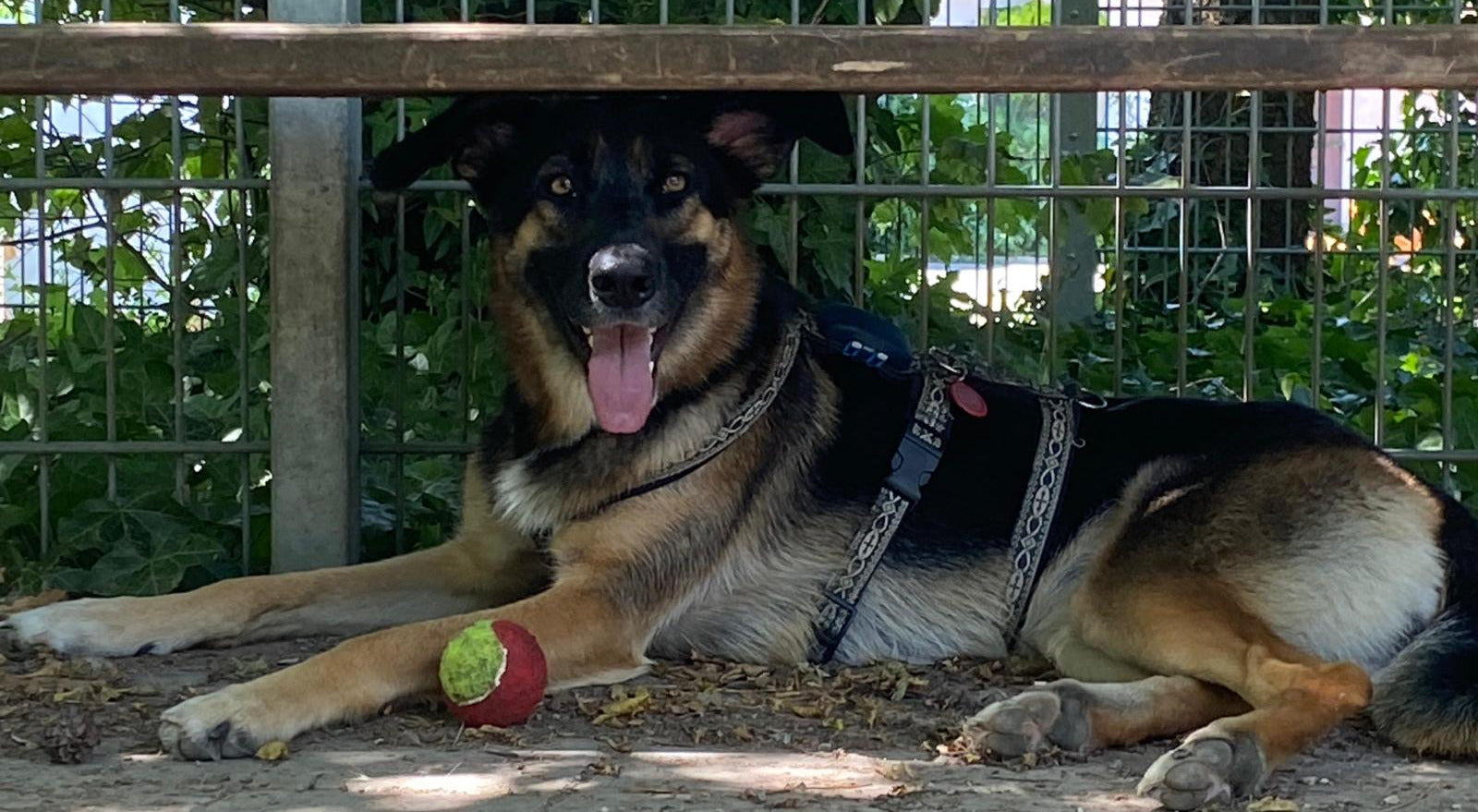 Küchenrückwand - Eigenes Wunsch-Motiv