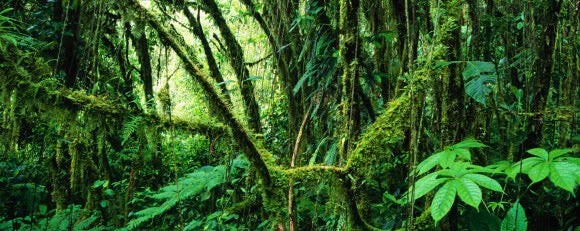 Küchenrückwand - Eigenes Wunsch-Motiv