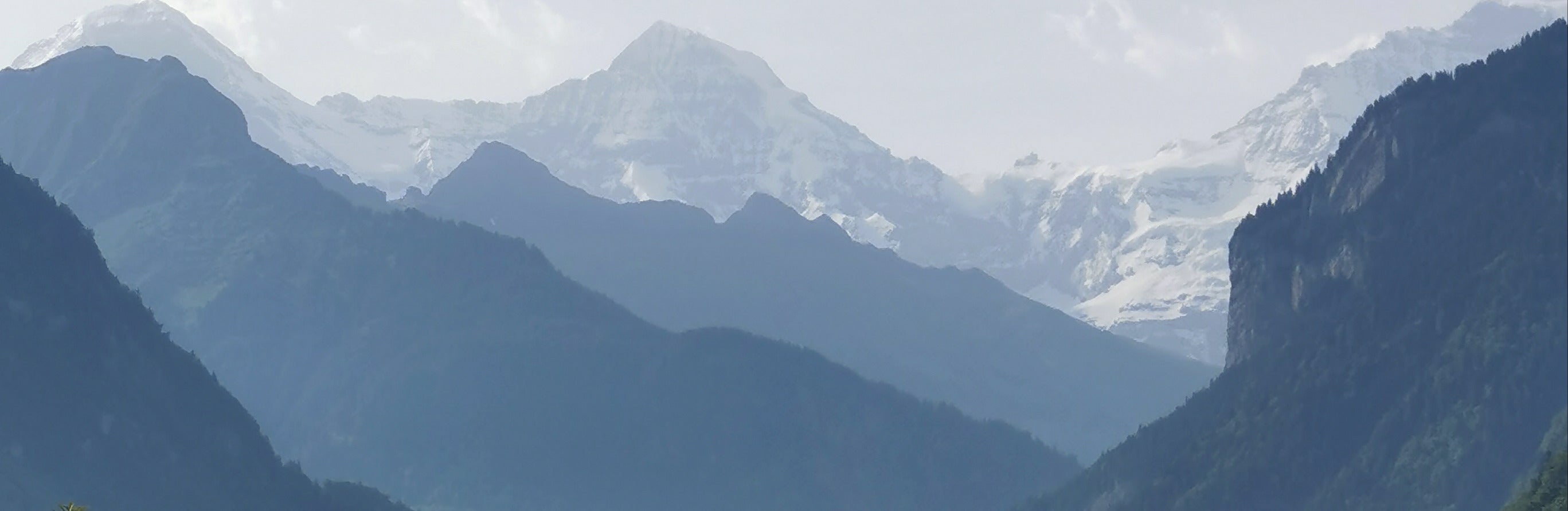 Küchenrückwand - Eigenes Wunsch-Motiv